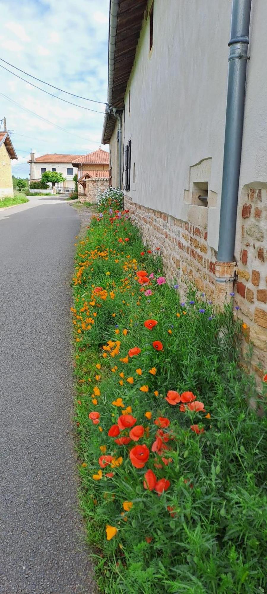Chambres D Hotes Proche Macon Grieges Esterno foto